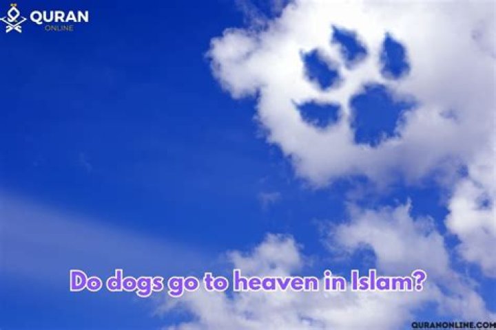 Do dogs go to heaven in Islam?