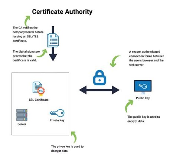 Do I need an internal certificate authority?