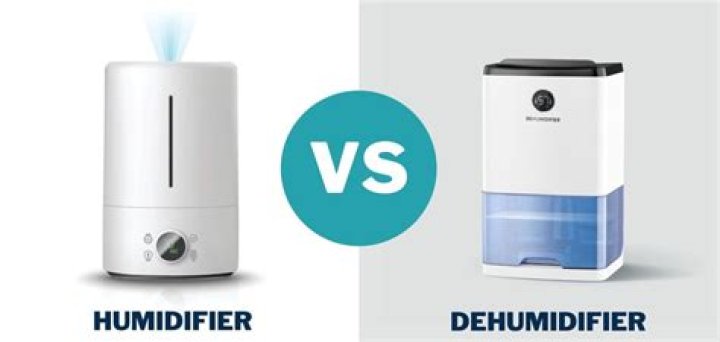 Do I need humidifier or dehumidifier for sinus?