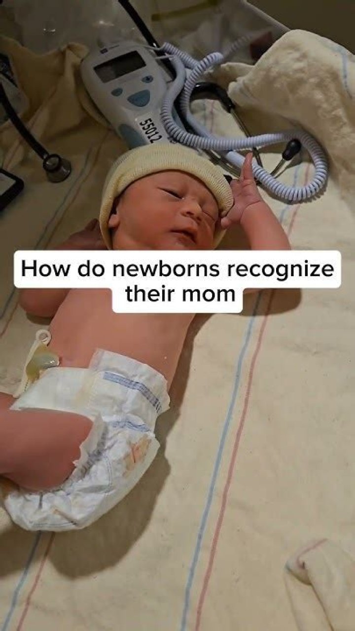 Do newborns recognize their mom?