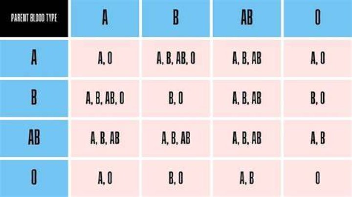 Do pandas have different blood types?