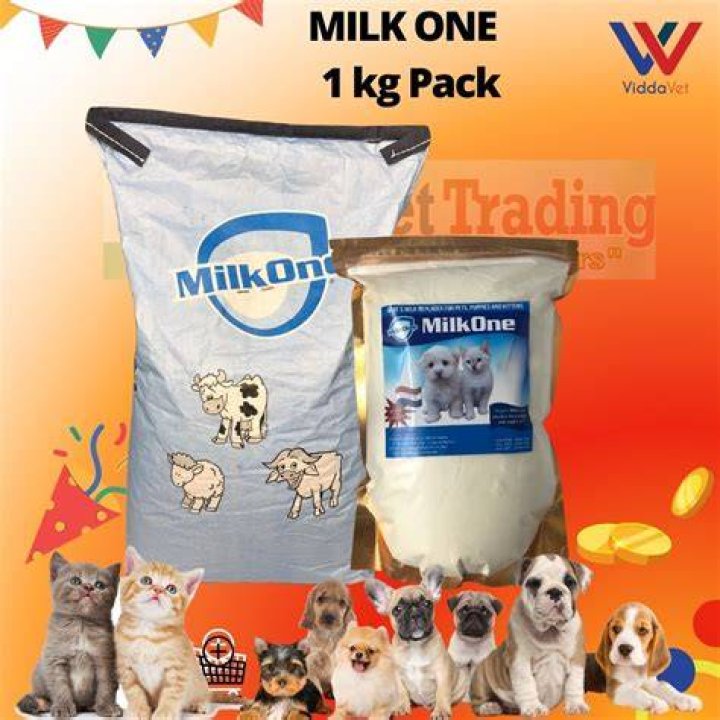 Do puppies need milk after 8 weeks?