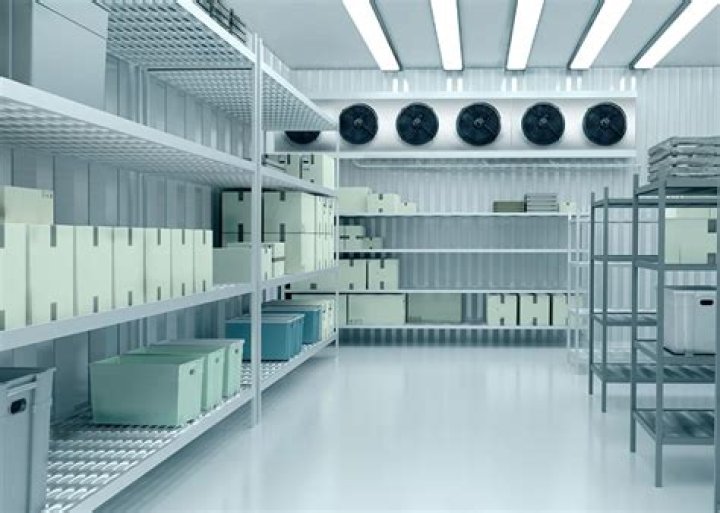 Do rats like cold rooms?