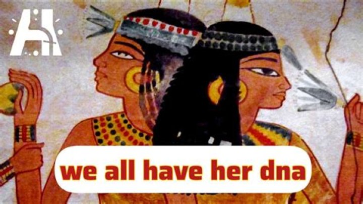 Do we all come from the same ancestors?