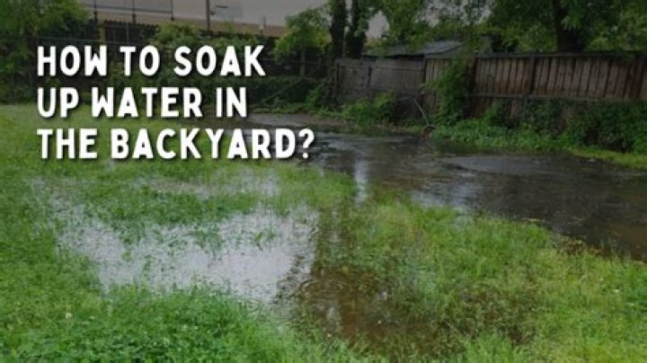 Do wood chips soak up water?