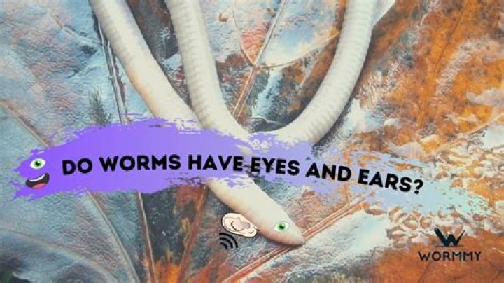Do worms eat grass clippings?