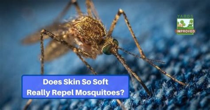 Does Avon so soft repel fleas?