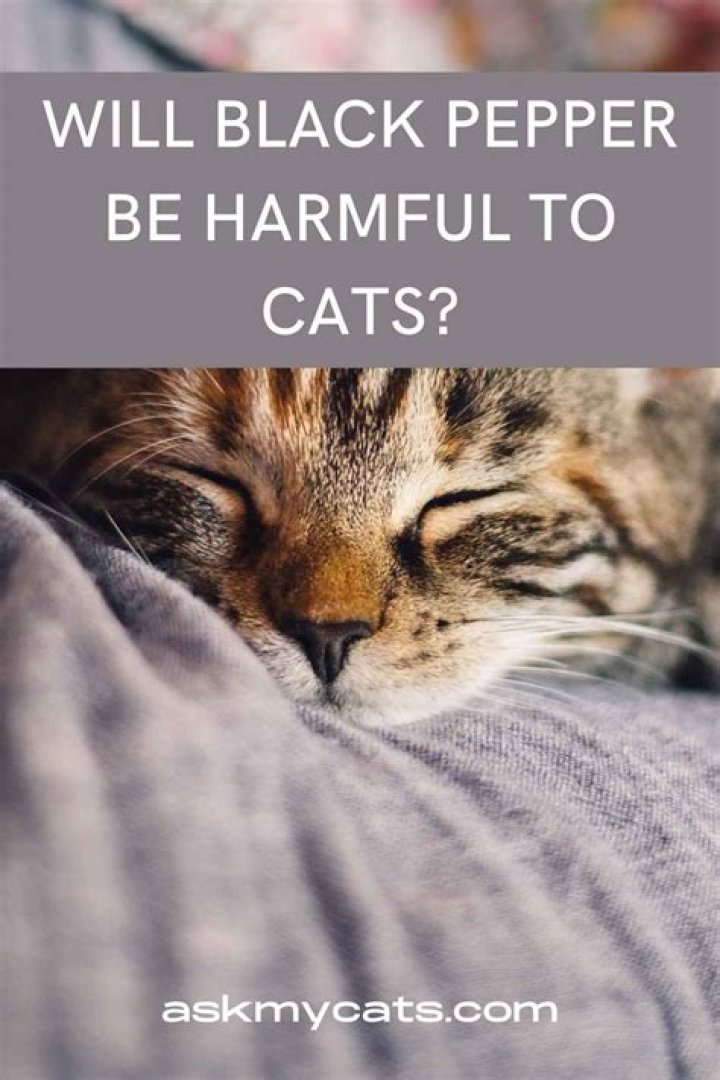 Does black pepper keep cats away?