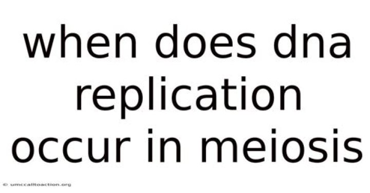 Does DNA replication occur in meiosis?