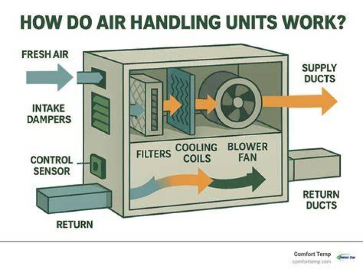 Does fresh air help with mold?