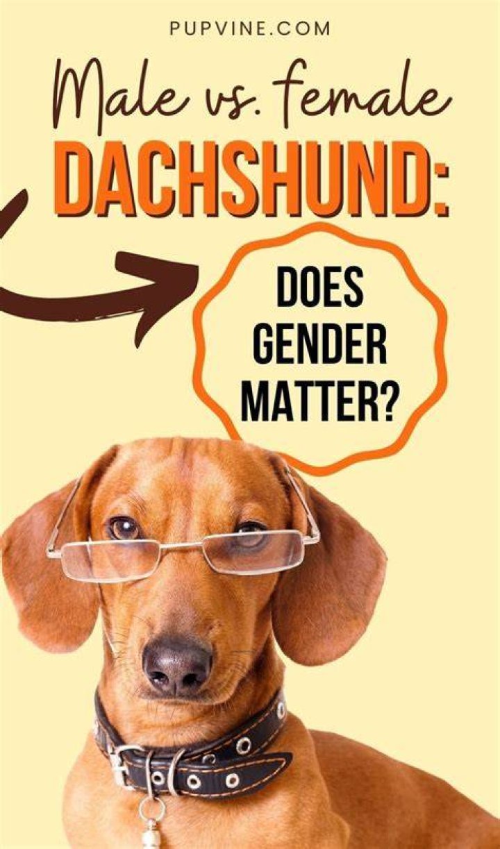 Does gender matter when getting a second dog?