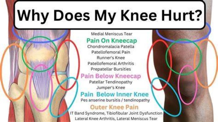 Does it hurt to brand a calf?