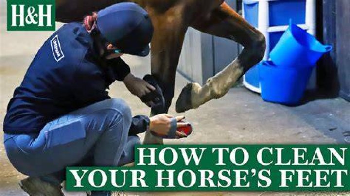 Does it hurt to clean a horse's hoof?