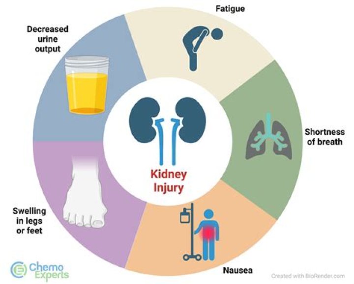 Does kidney disease in dogs cause shaking?