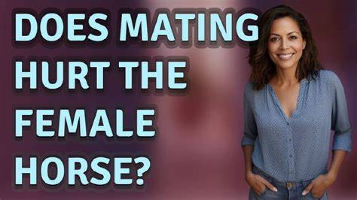 Does mating hurt the female horse?