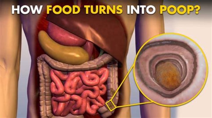 Does Mcdonalds ice have poop in it?
