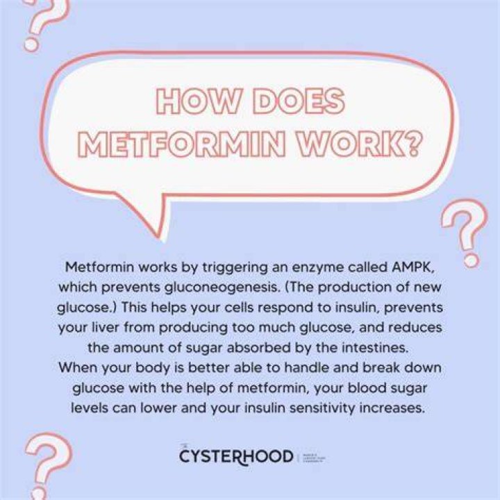 Does metformin affect your heart?
