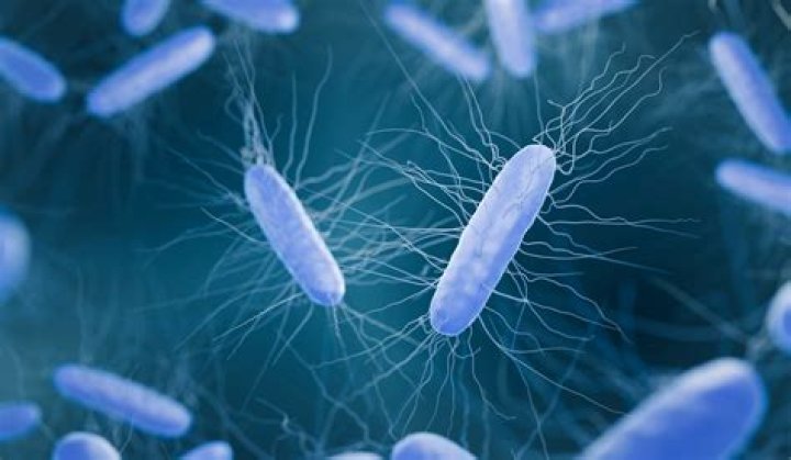 Does normal saline kill bacteria?