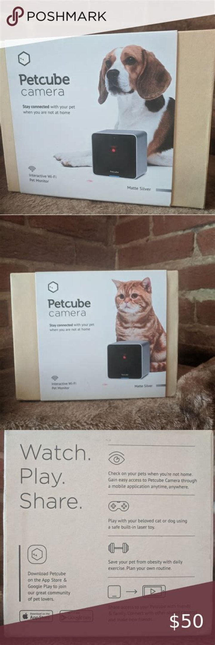 Does Petcube record all the time?
