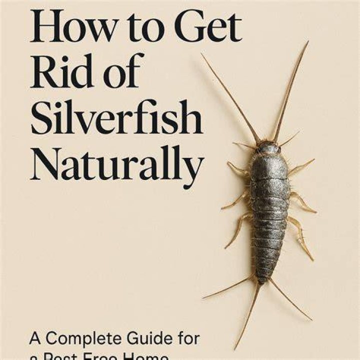 Does raid get rid of silverfish?