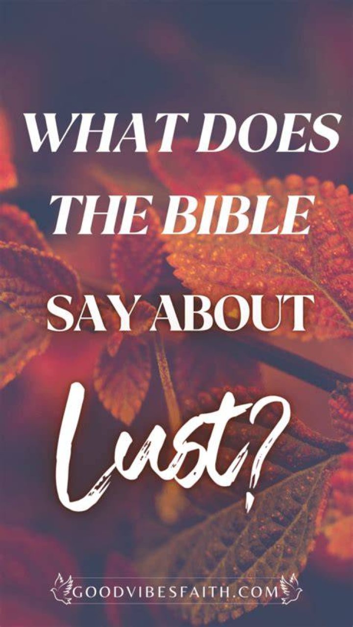Does the Bible say not to drink too much wine?