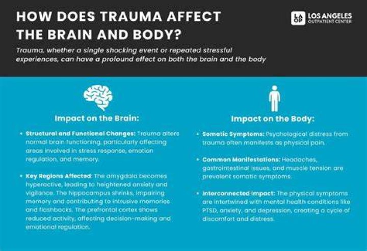 Does untreated anxiety lead to brain damage?