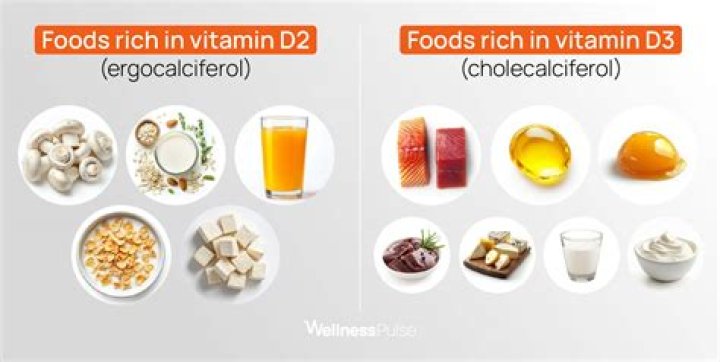 Does vitamin D3 help reduce belly fat?