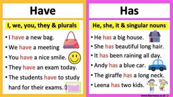 Has or have meaning?