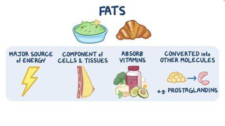 How can I get fat in a week?