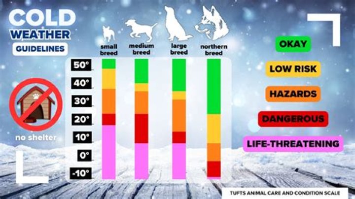 How cold is too cold for earthworms?