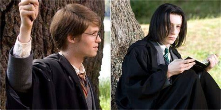How did Malfoy survive Sectumsempra?