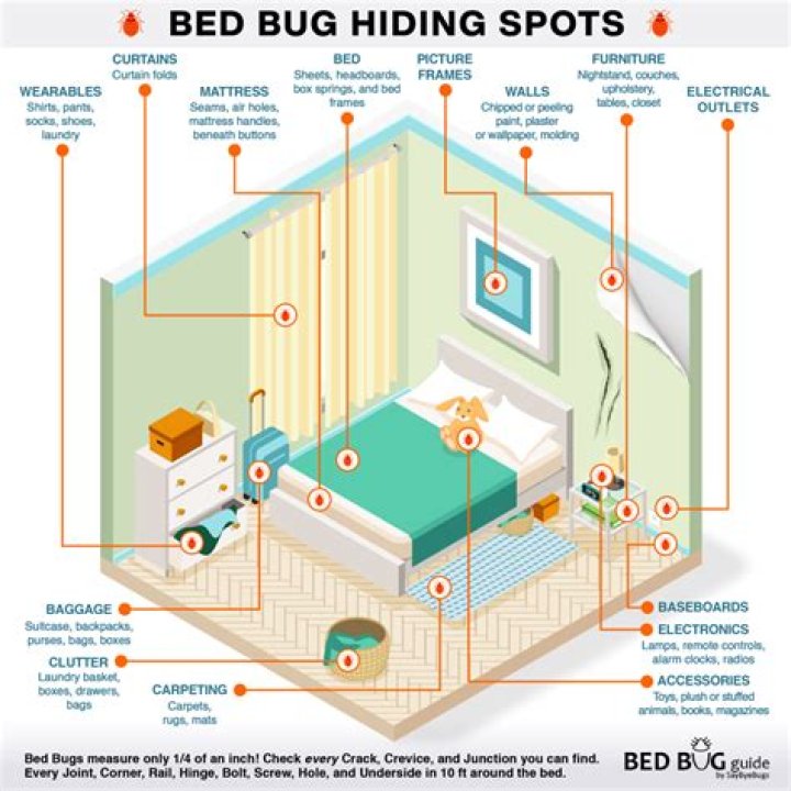How do bed bugs find you in another room?