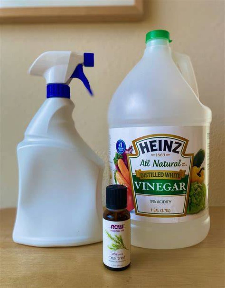 How do I permanently get rid of ants outside?