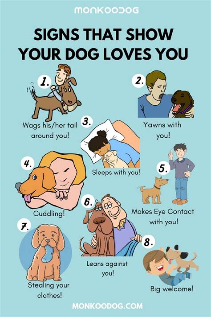 How do I tell my dog goodbye?