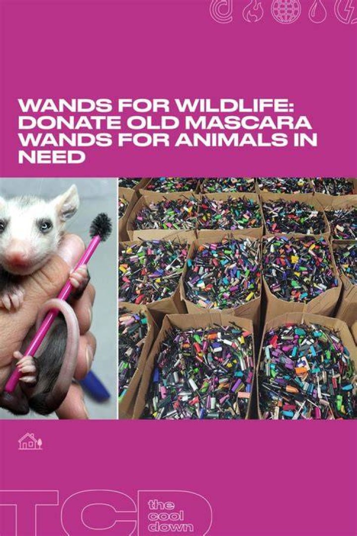 How do mascara wands help animals?
