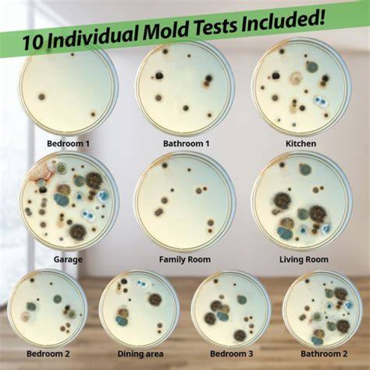 How do they test a person for mold?
