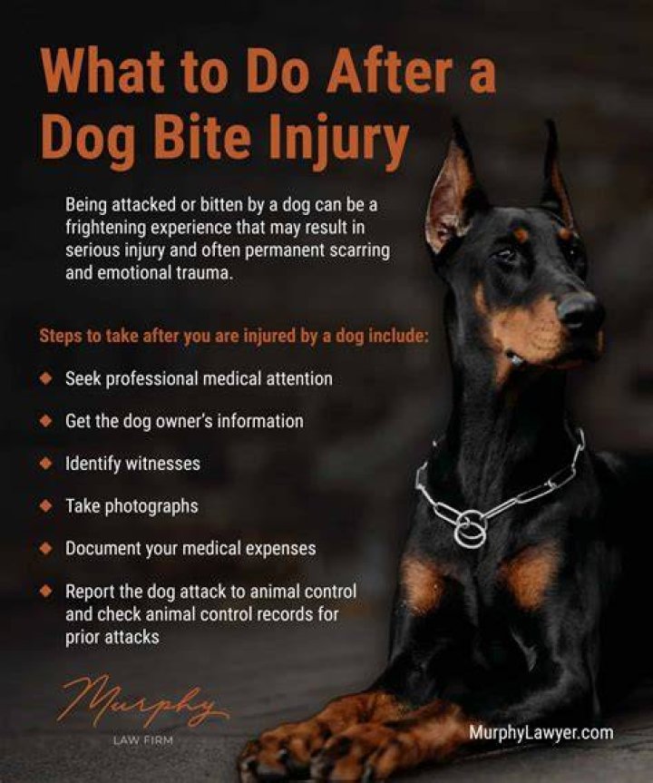 How do u train a dog not to bite?