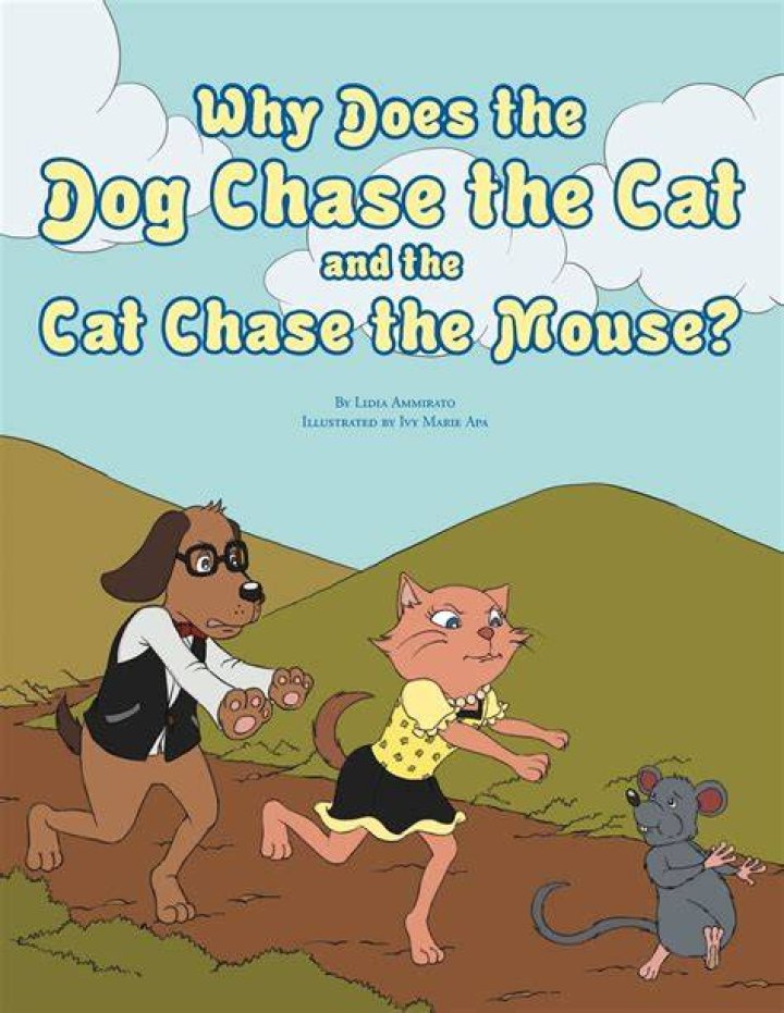 How do you chase a mouse away?