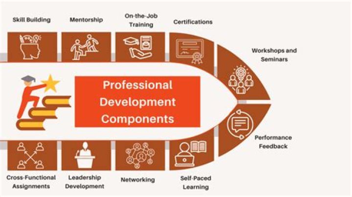 How do you develop and maintain professional competence?