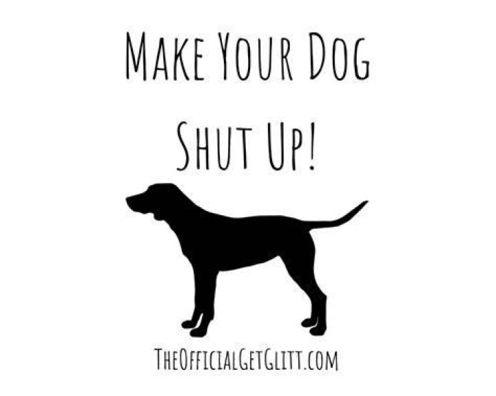 How do you make a dog shut up?