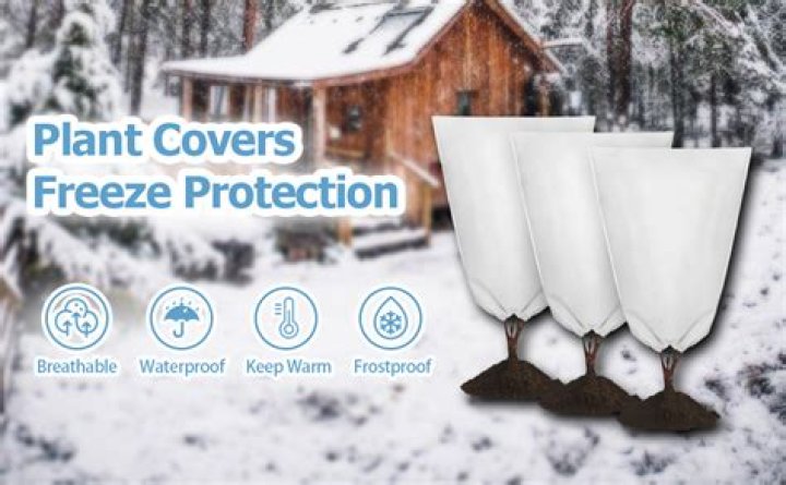 How do you make winter plant protectors?