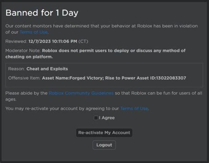 How do you play even if your banned on Roblox?