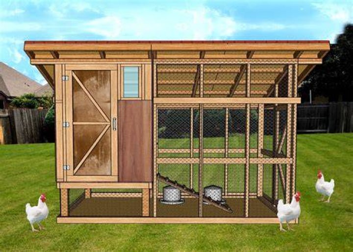 How do you rat proof a chicken coop?