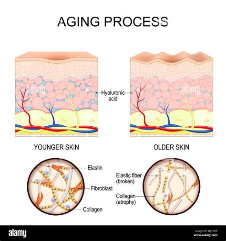 How do you restore collagen and elastin?