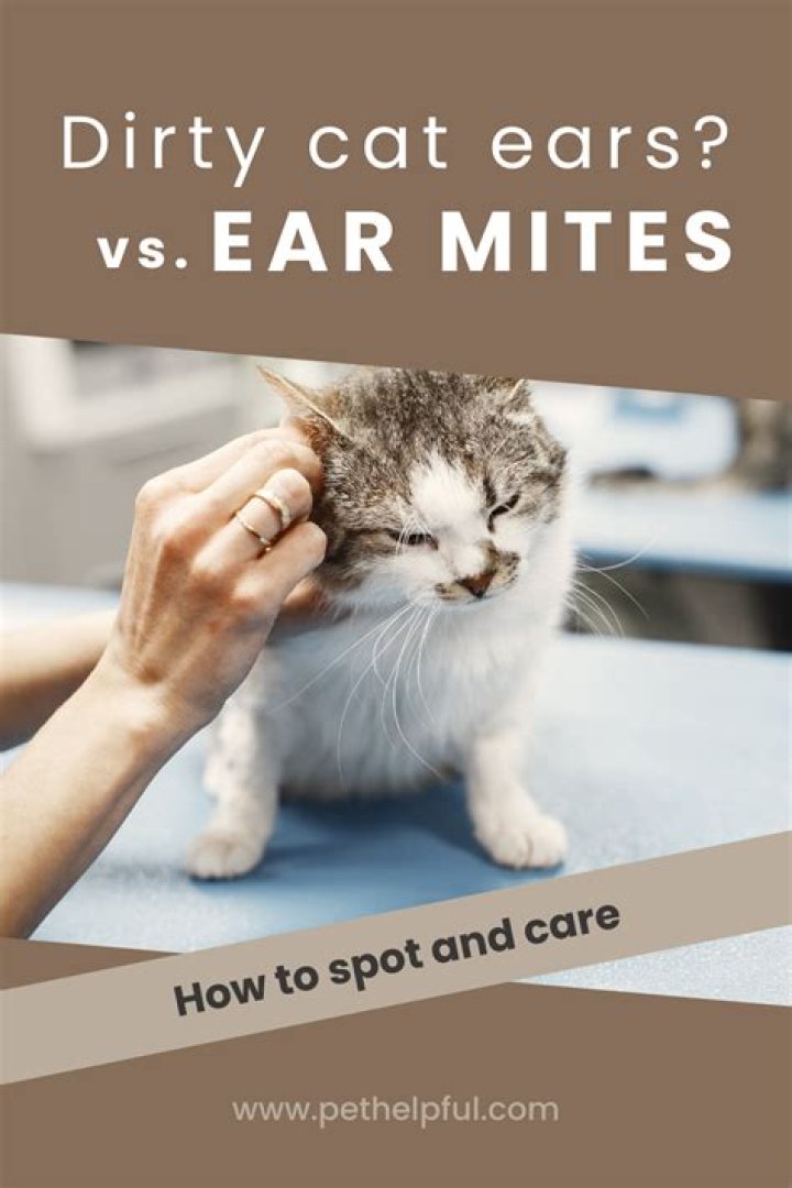 How do you tell if your cat has ear mites or just dirty ears?