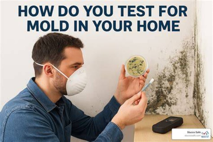 How do you test for flea dirt?