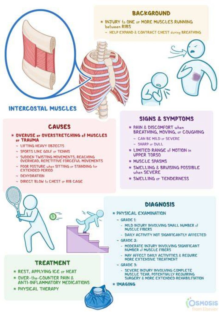How do you treat a pulled rib muscle?