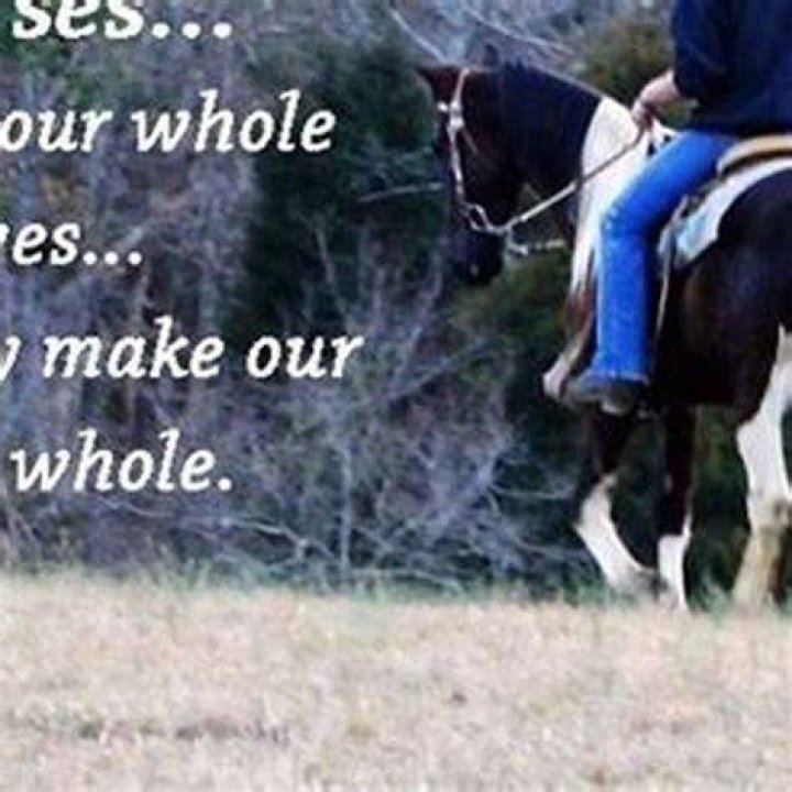 How do you walk a horse?