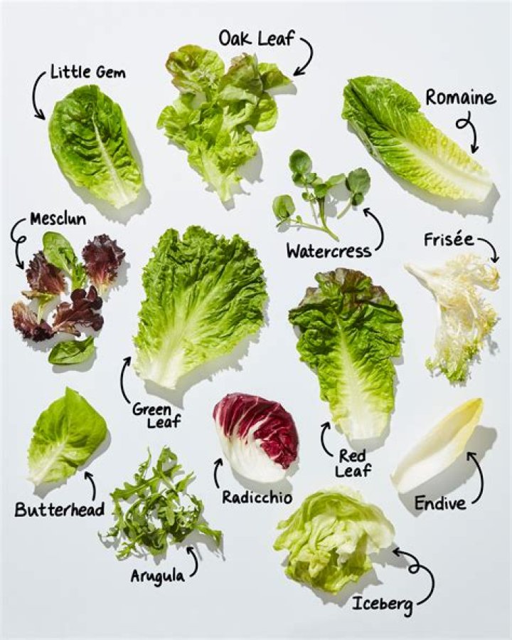 How do you wash lettuce and keep it crisp?