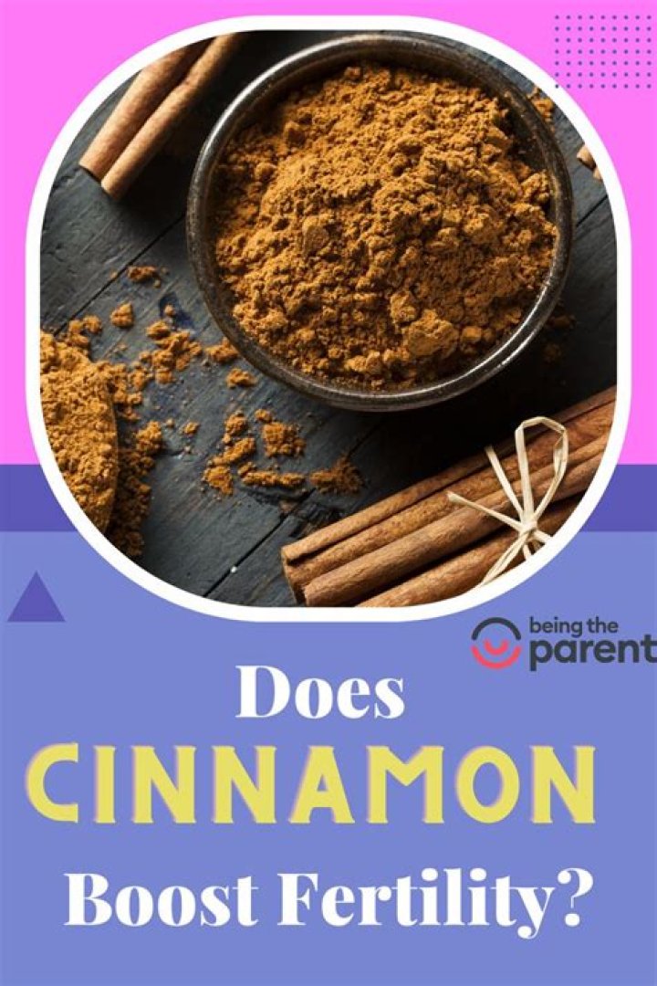 How does cinnamon help fertility?